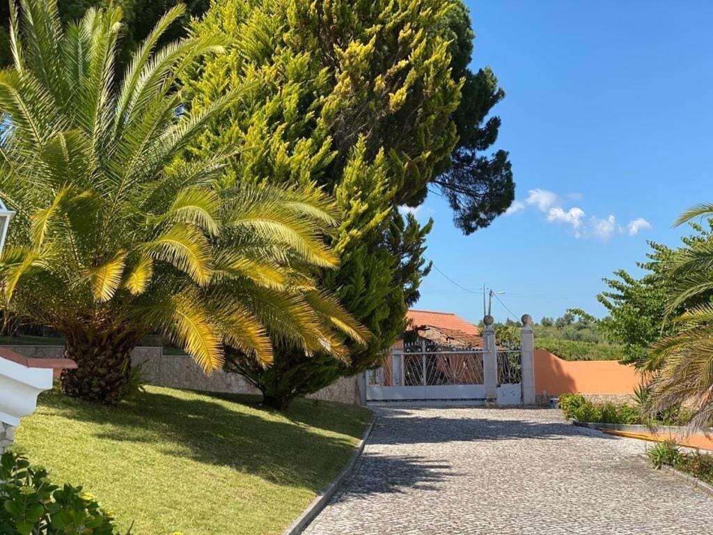 فيلا Quinta Do Alto Dos Pinheiros São João da Ribeira المظهر الخارجي الصورة